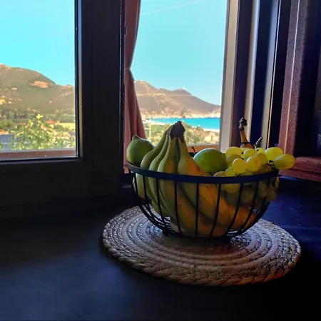 Cactus - Sea View