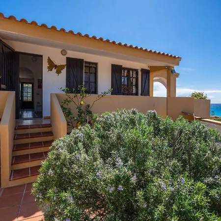 Cactus - Sea View Daire