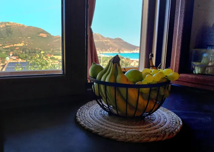 Cactus - Sea View
