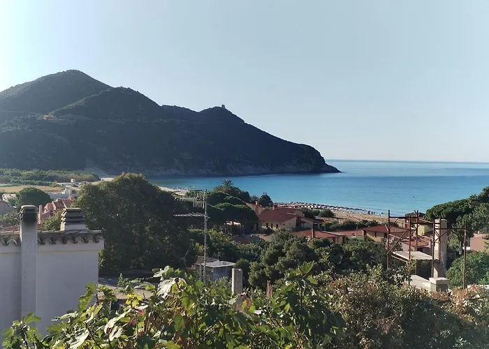 Cactus - Sea View Solanas